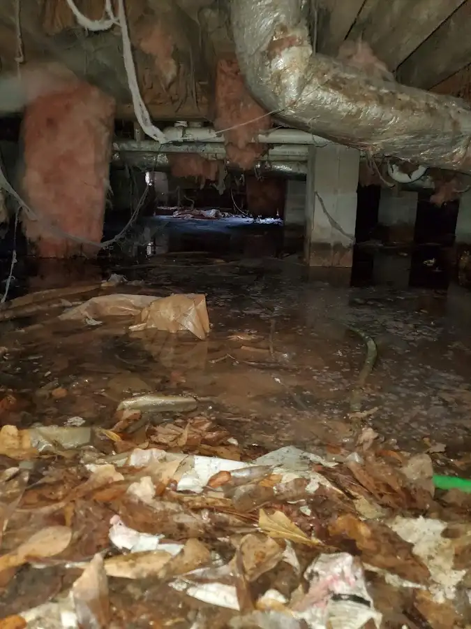 Crawl space flood assessment for Commercial Water Damage Restoration in Newcastle
