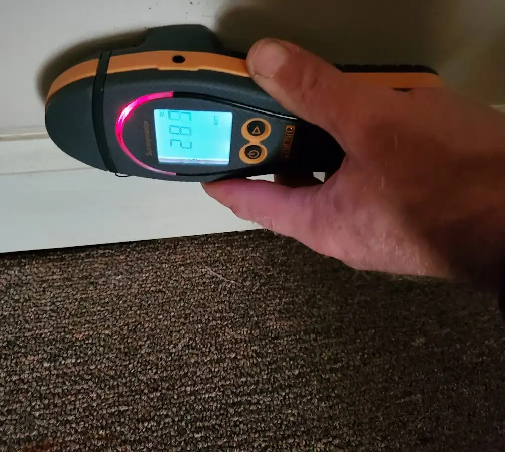 Moisture detection at baseboard during Sewage Cleanup & Sanitation in Newcastle